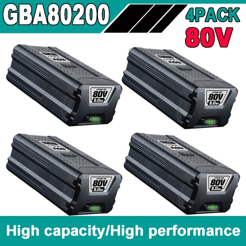 Batteria 0ah 80v per - 5,0ah,