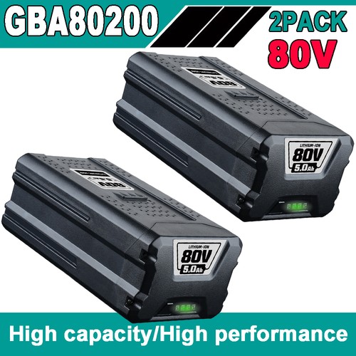 Batteria 0ah 80v - 2x,