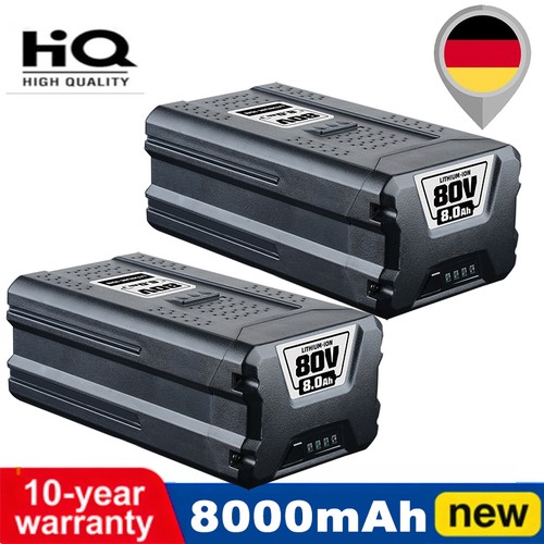 Batteria al litio 80 v - x,