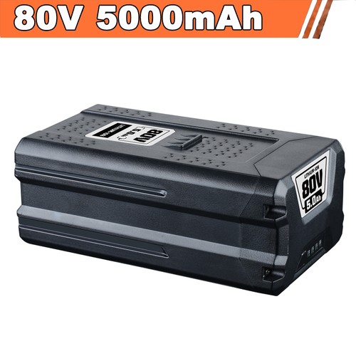 Batteria agli ioni - , 80